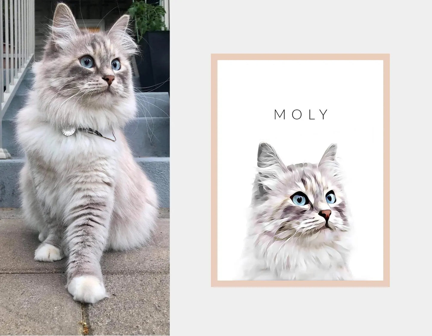 Custom Pet Portraits, Watercolour Pet Painting, Digital Painted from Photo, Pet Memorial Gif, Pet Gifts