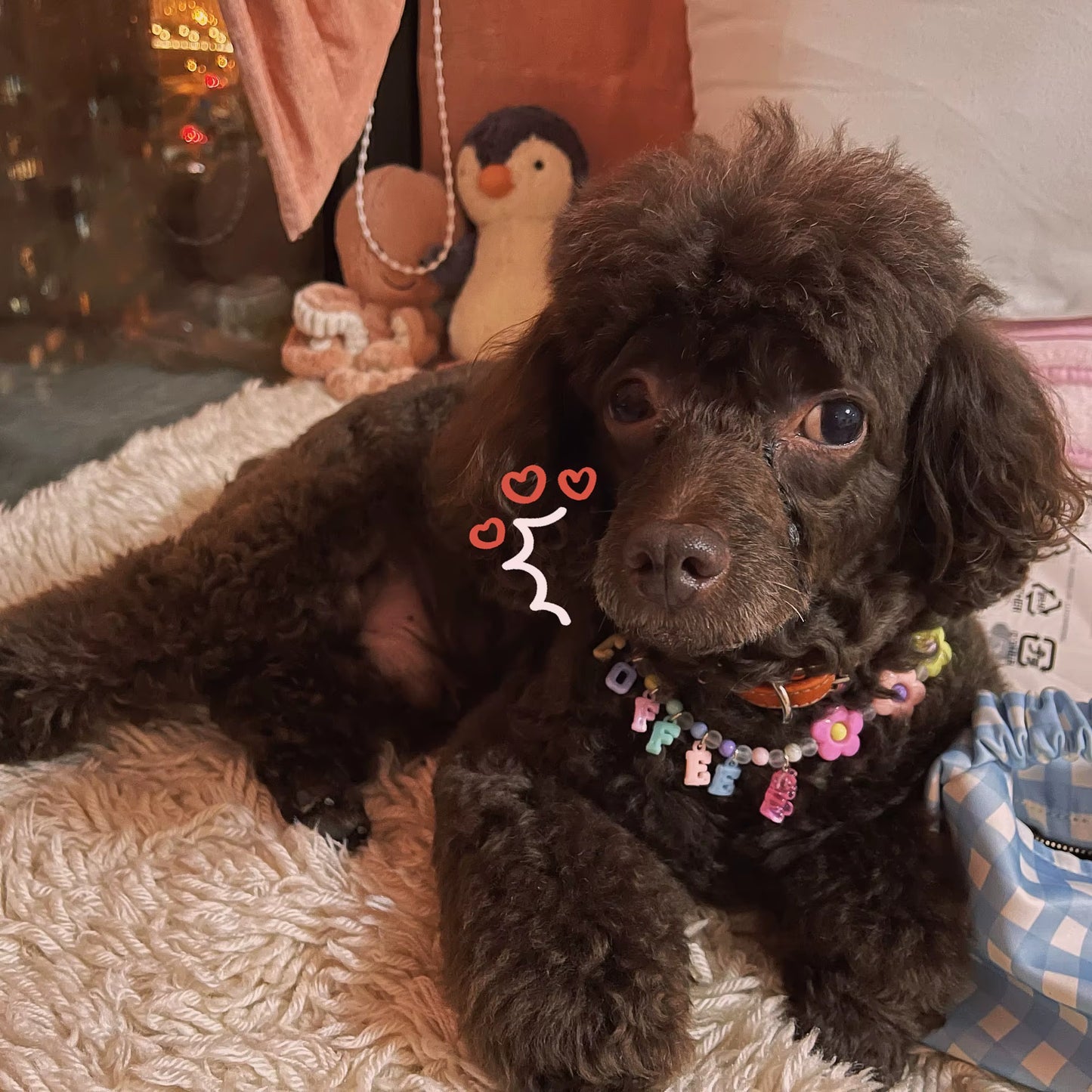 Pet Cat and Dog Name Custom Color Bear Flower Beaded Necklace Cat Collar Dog Collar Pet Accessories